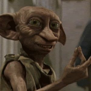 Meet your Posher, Leslie